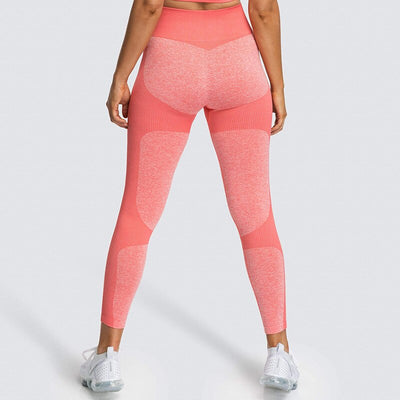 High Waist Yoga Leggings Tights